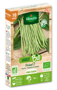 Haricot Nain Vert Oxinel 2 - BIO - 10 M